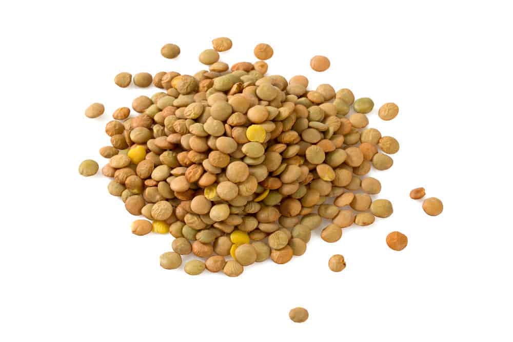 Lentils isolated on white.