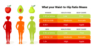 Read more about the article Waist-to-Hip Ratio: How to Calculate & 6 Abdominal Exercises to Make It Work
